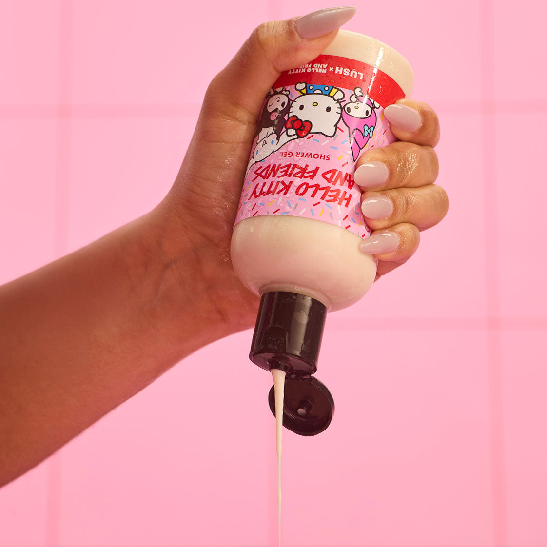 Hello Kitty And Friends