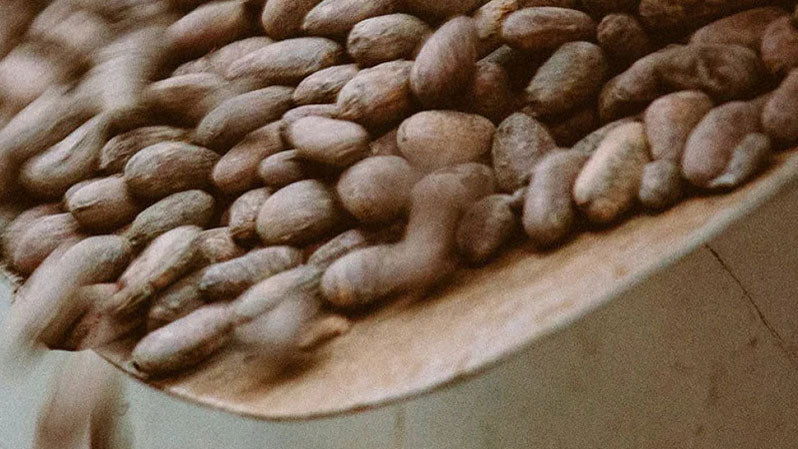 Naš stav o Fair Tradeu