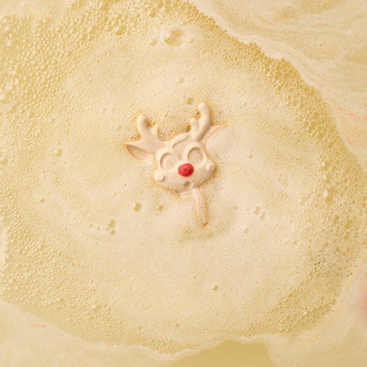 Reindeer