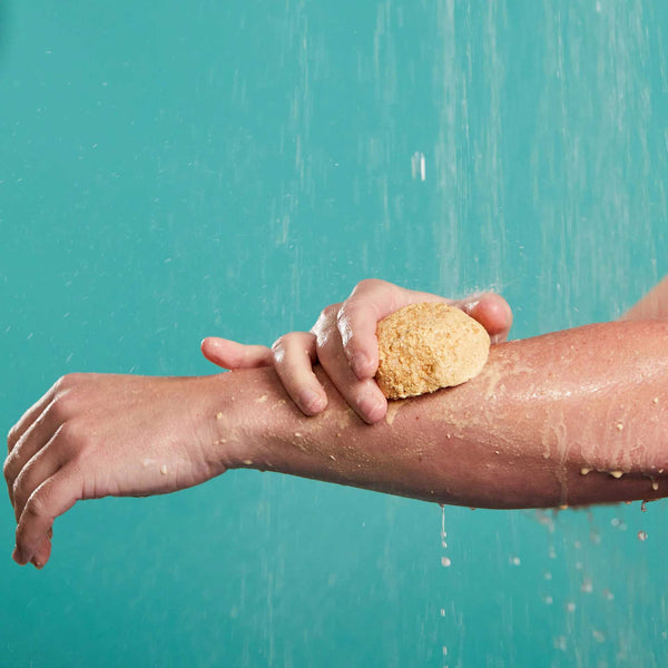 Flyway Salt Scrub