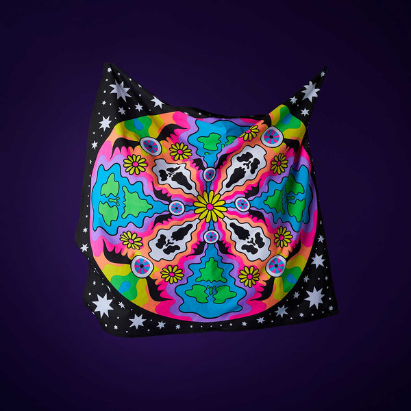 Cosmic Gathering