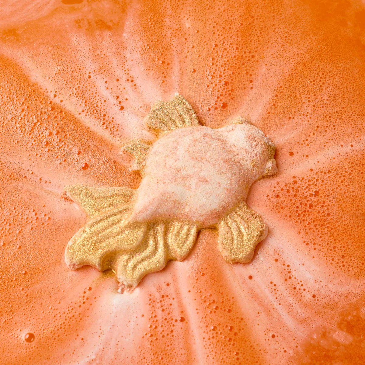 Goldfish