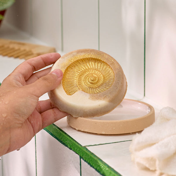 Ms Ammonite
