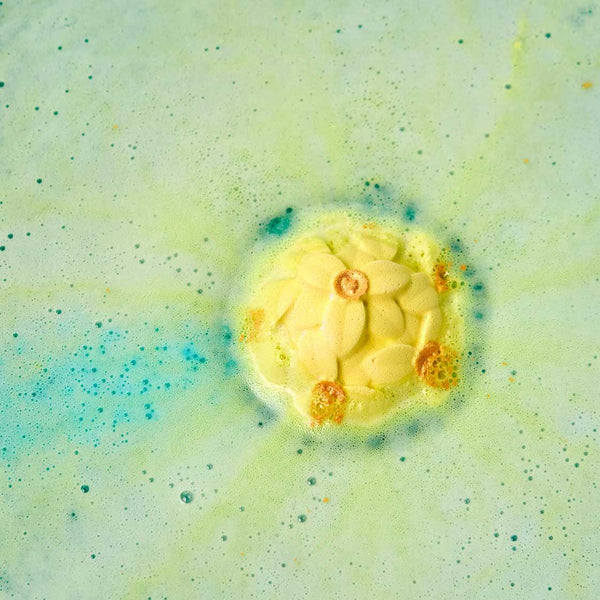 Narcissus