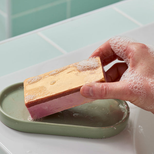 The Goose's Golden Egg