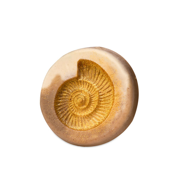 Ms Ammonite